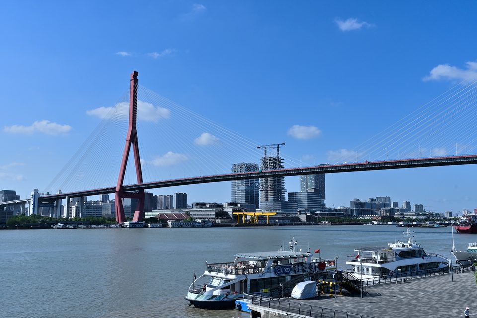 杨浦大桥机位2
