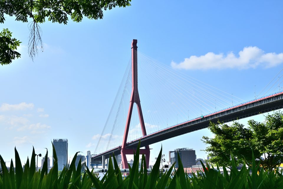 丛中杨浦大桥