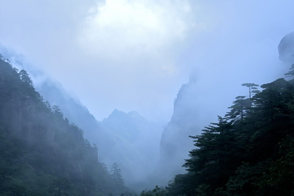 云雾之中2