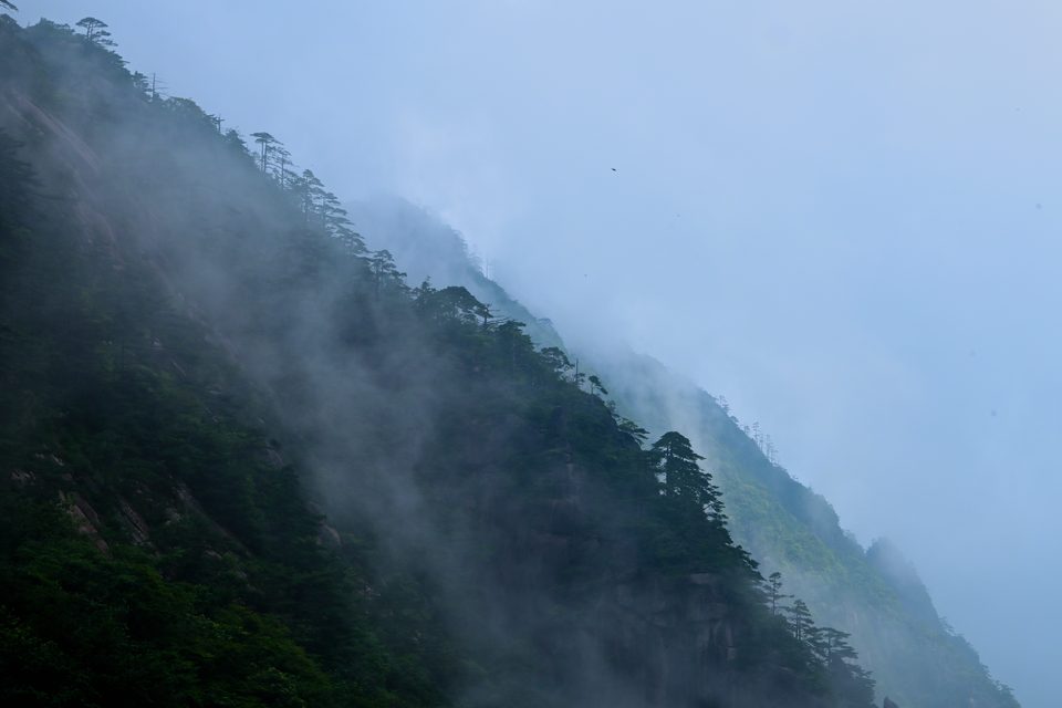 墨韵